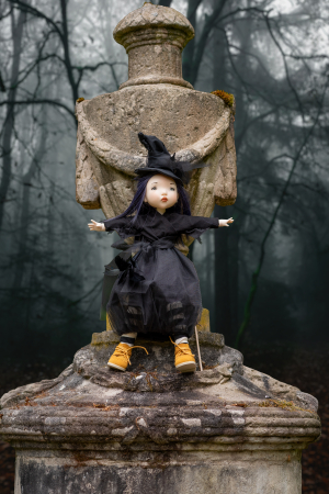 zwergnase  ツヴァクナーゼ Zwergnase Doll - Browse This Unique Line Of Dolls
